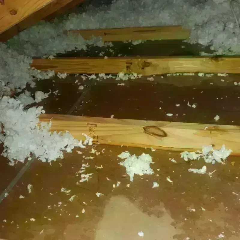 Attic Water Damage in Powhatan County, VA